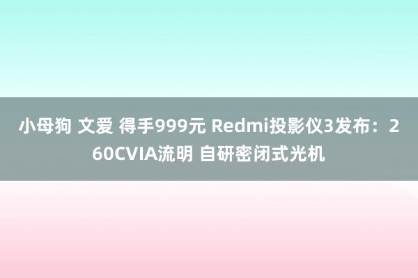 小母狗 文爱 得手999元 Redmi投影仪3发布：260CVIA流明 自研密闭式光机