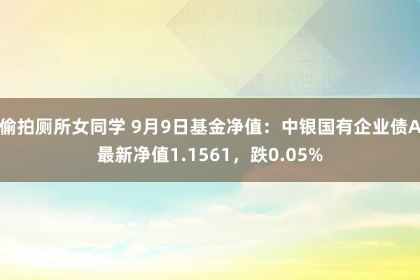 偷拍厕所女同学 9月9日基金净值：中银国有企业债A最新净值1.1561，跌0.05%