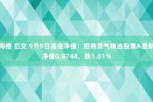 痔疮 肛交 9月9日基金净值：招商景气精选股票A最新净值0.8744，跌1.01%