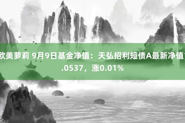 欧美萝莉 9月9日基金净值：天弘招利短债A最新净值1.0537，涨0.01%