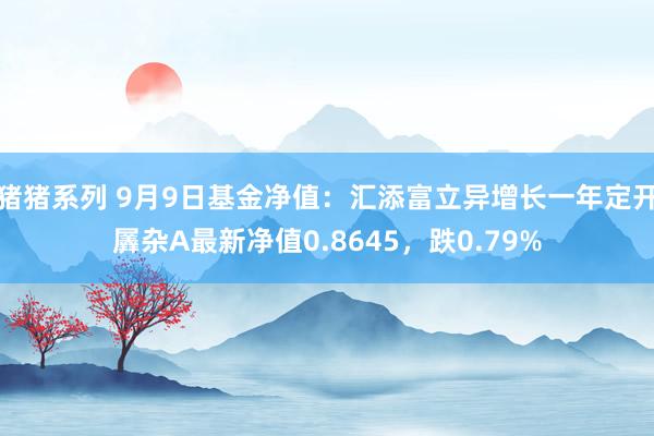 猪猪系列 9月9日基金净值：汇添富立异增长一年定开羼杂A最新净值0.8645，跌0.79%