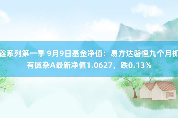 鑫系列第一季 9月9日基金净值：易方达磐恒九个月抓有羼杂A最新净值1.0627，跌0.13%