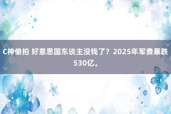 C神偷拍 好意思国东谈主没钱了？2025年军费暴跌530亿。