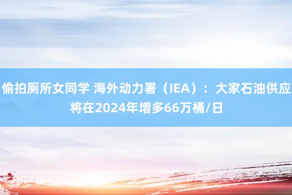 偷拍厕所女同学 海外动力署（IEA）：大家石油供应将在2024年增多66万桶/日