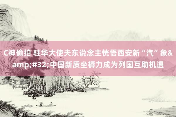 C神偷拍 驻华大使夫东说念主恍悟西安新“汽”象&#32;中国新质坐褥力成为列国互助机遇