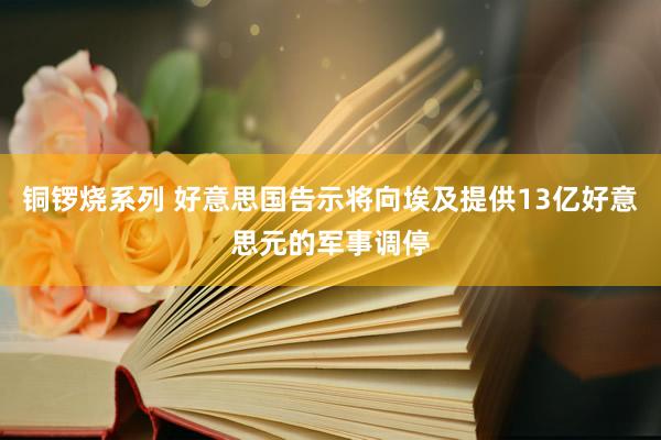 铜锣烧系列 好意思国告示将向埃及提供13亿好意思元的军事调停