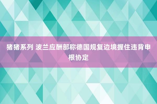 猪猪系列 波兰应酬部称德国规复边境握住违背申根协定