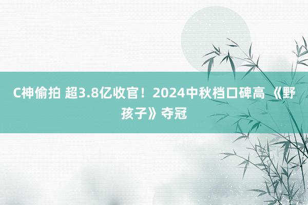 C神偷拍 超3.8亿收官！2024中秋档口碑高 《野孩子》夺冠