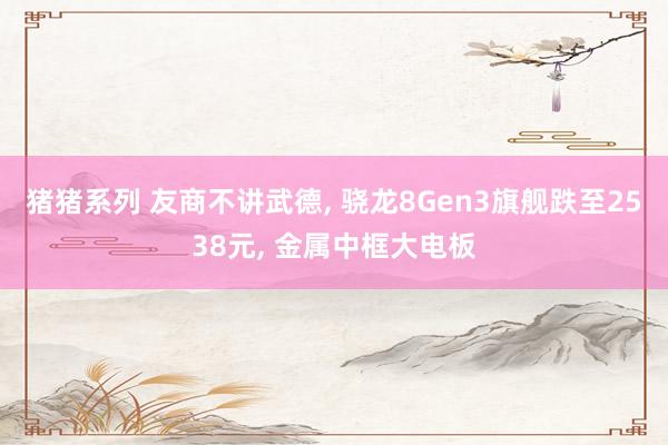 猪猪系列 友商不讲武德， 骁龙8Gen3旗舰跌至2538元， 金属中框大电板