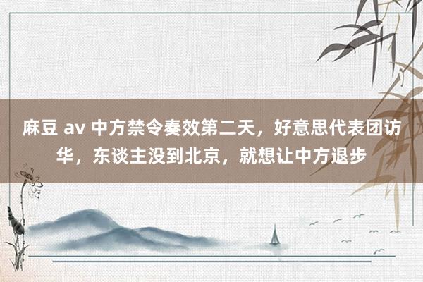 麻豆 av 中方禁令奏效第二天，好意思代表团访华，东谈主没到北京，就想让中方退步