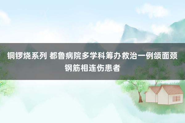 铜锣烧系列 都鲁病院多学科筹办救治一例颌面颈钢筋相连伤患者