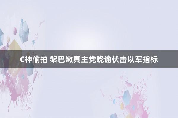 C神偷拍 黎巴嫩真主党晓谕伏击以军指标