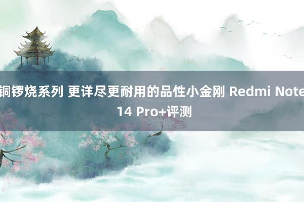 铜锣烧系列 更详尽更耐用的品性小金刚 Redmi Note 14 Pro+评测