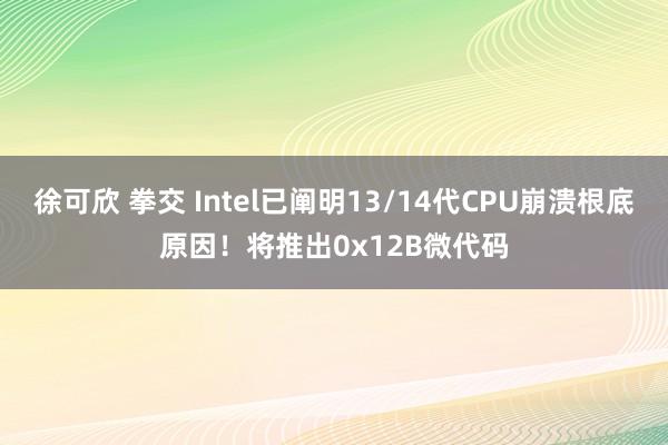 徐可欣 拳交 Intel已阐明13/14代CPU崩溃根底原因！将推出0x12B微代码