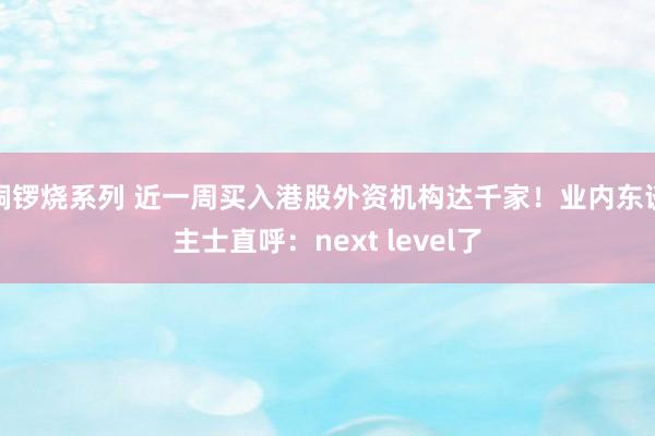 铜锣烧系列 近一周买入港股外资机构达千家！业内东谈主士直呼：next level了