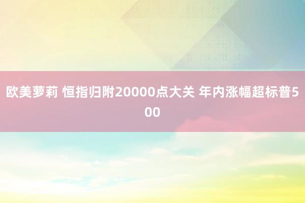 欧美萝莉 恒指归附20000点大关 年内涨幅超标普500