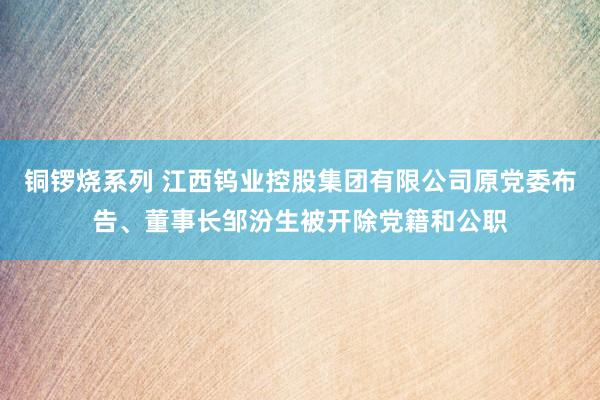 铜锣烧系列 江西钨业控股集团有限公司原党委布告、董事长邹汾生被开除党籍和公职