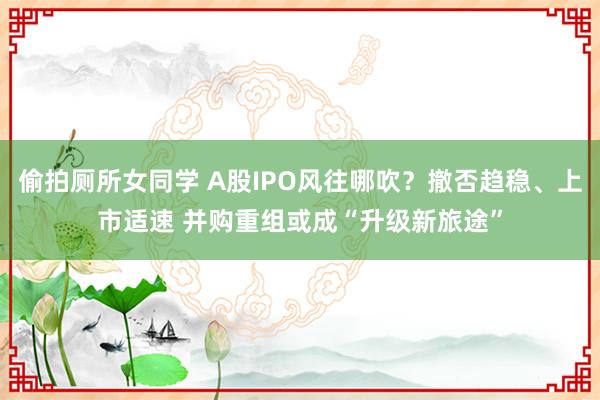 偷拍厕所女同学 A股IPO风往哪吹？撤否趋稳、上市适速 并购重组或成“升级新旅途”