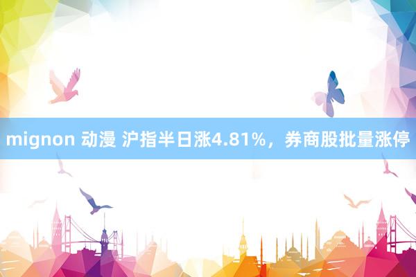 mignon 动漫 沪指半日涨4.81%，券商股批量涨停