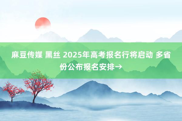 麻豆传媒 黑丝 2025年高考报名行将启动 多省份公布报名安排→