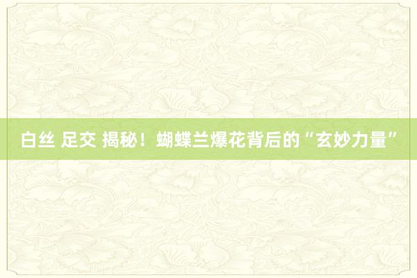 白丝 足交 揭秘！蝴蝶兰爆花背后的“玄妙力量”