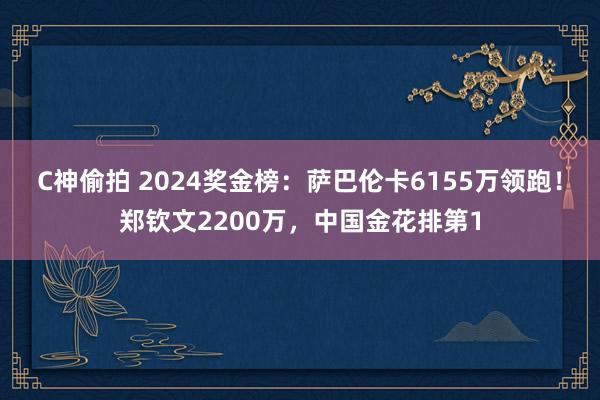 C神偷拍 2024奖金榜：萨巴伦卡6155万领跑！郑钦文2200万，中国金花排第1