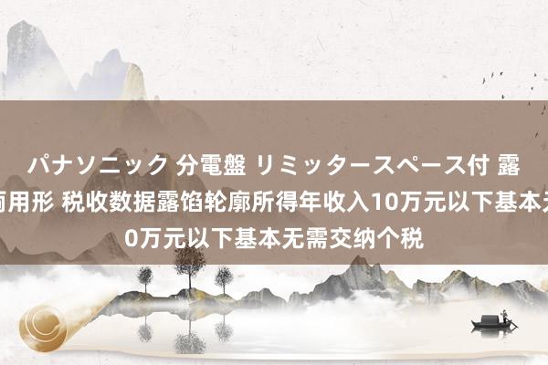 パナソニック 分電盤 リミッタースペース付 露出・半埋込両用形 税收数据露馅轮廓所得年收入10万元以下基本无需交纳个税