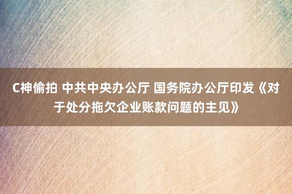 C神偷拍 中共中央办公厅 国务院办公厅印发《对于处分拖欠企业账款问题的主见》