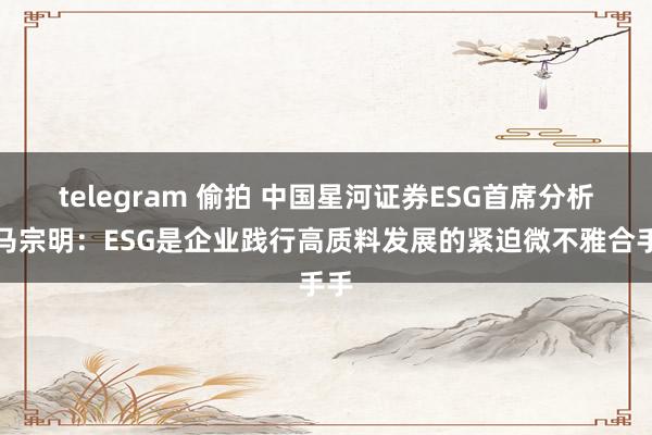 telegram 偷拍 中国星河证券ESG首席分析师马宗明：ESG是企业践行高质料发展的紧迫微不雅合手手