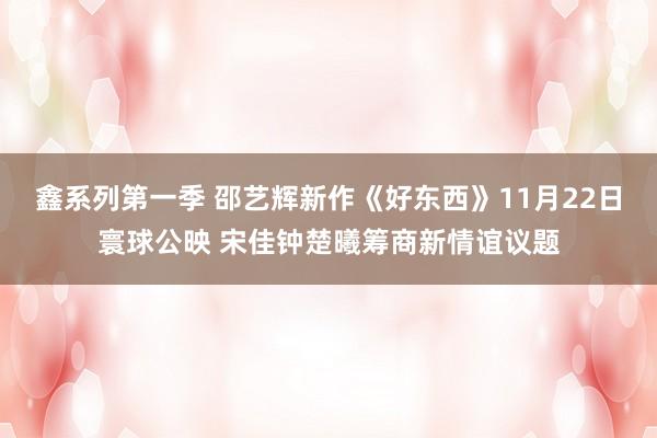 鑫系列第一季 邵艺辉新作《好东西》11月22日寰球公映 宋佳钟楚曦筹商新情谊议题