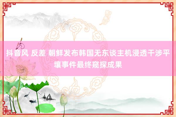 抖音风 反差 朝鲜发布韩国无东谈主机浸透干涉平壤事件最终窥探成果