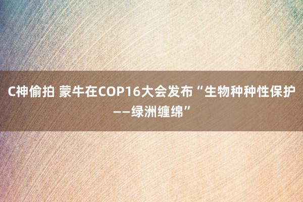 C神偷拍 蒙牛在COP16大会发布“生物种种性保护——绿洲缠绵”