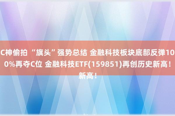 C神偷拍 “旗头”强势总结 金融科技板块底部反弹100%再夺C位 金融科技ETF(159851)再创历史新高！