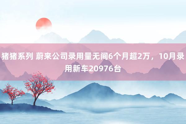 猪猪系列 蔚来公司录用量无间6个月超2万，10月录用新车20976台