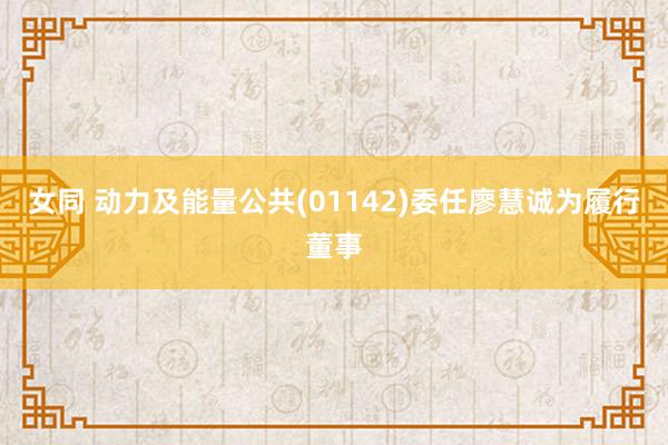 女同 动力及能量公共(01142)委任廖慧诚为履行董事