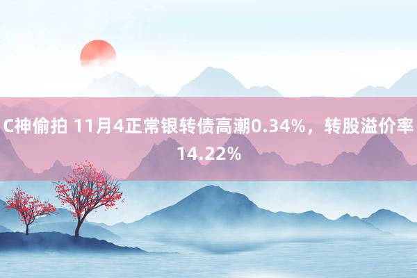 C神偷拍 11月4正常银转债高潮0.34%，转股溢价率14.22%