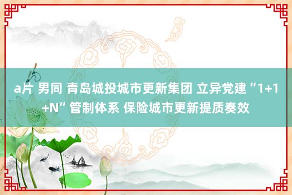 a片 男同 青岛城投城市更新集团 立异党建“1+1+N”管制体系 保险城市更新提质奏效