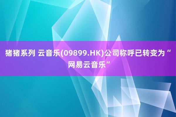 猪猪系列 云音乐(09899.HK)公司称呼已转变为“ 网易云音乐”