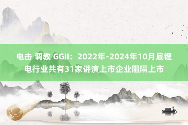 电击 调教 GGII：2022年-2024年10月底锂电行业共有31家讲演上市企业阻隔上市