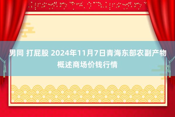 男同 打屁股 2024年11月7日青海东部农副产物概述商场价钱行情