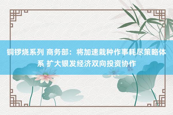 铜锣烧系列 商务部：将加速栽种作事耗尽策略体系 扩大银发经济双向投资协作