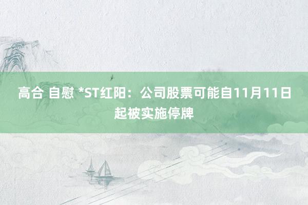 高合 自慰 *ST红阳：公司股票可能自11月11日起被实施停牌