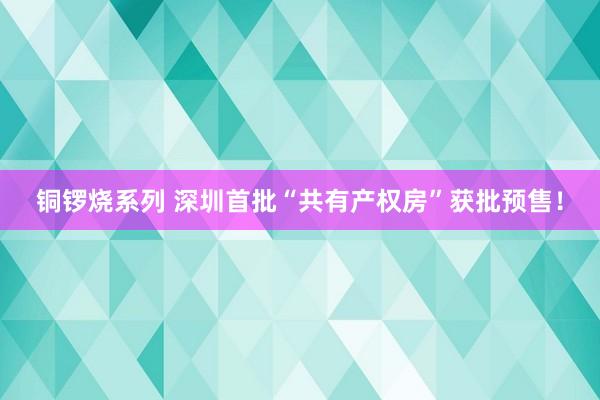 铜锣烧系列 深圳首批“共有产权房”获批预售！