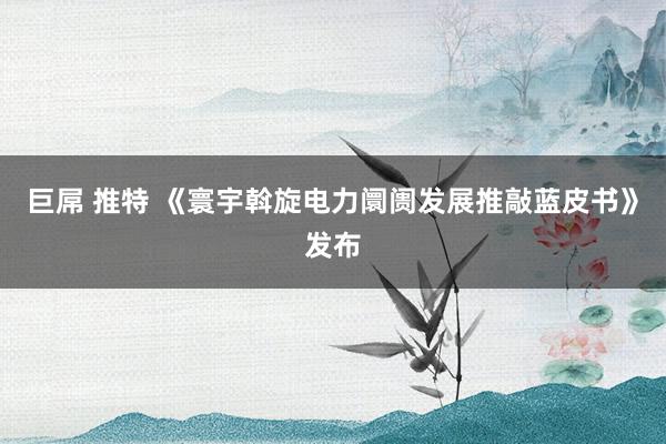 巨屌 推特 《寰宇斡旋电力阛阓发展推敲蓝皮书》发布