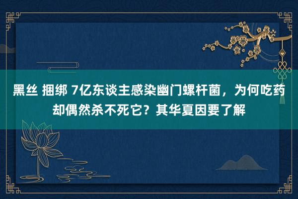 黑丝 捆绑 7亿东谈主感染幽门螺杆菌，为何吃药却偶然杀不死它？其华夏因要了解