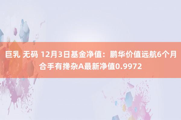 巨乳 无码 12月3日基金净值：鹏华价值远航6个月合手有搀杂A最新净值0.9972