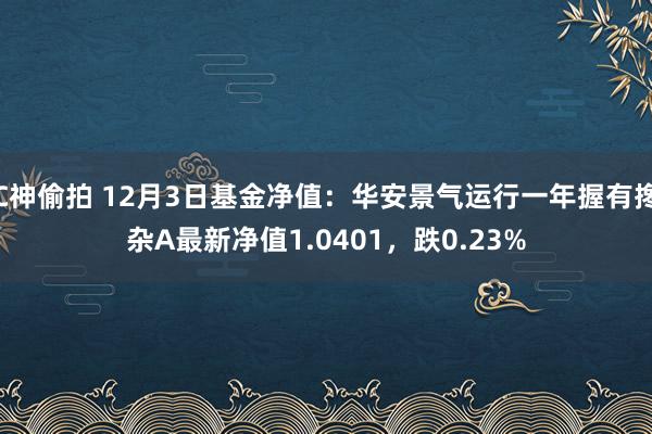 C神偷拍 12月3日基金净值：华安景气运行一年握有搀杂A最新净值1.0401，跌0.23%