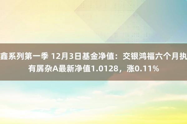 鑫系列第一季 12月3日基金净值：交银鸿福六个月执有羼杂A最新净值1.0128，涨0.11%