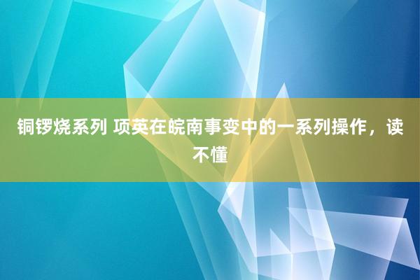 铜锣烧系列 项英在皖南事变中的一系列操作，读不懂