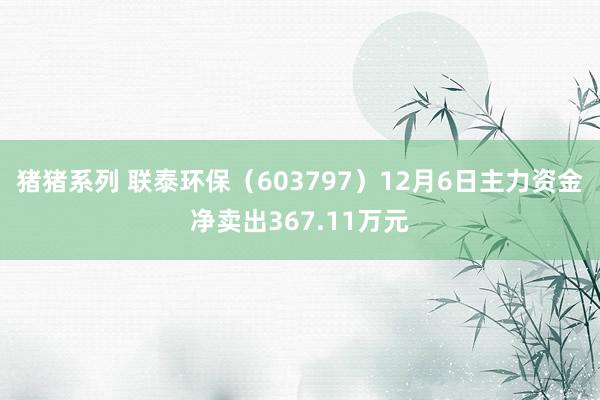 猪猪系列 联泰环保（603797）12月6日主力资金净卖出367.11万元